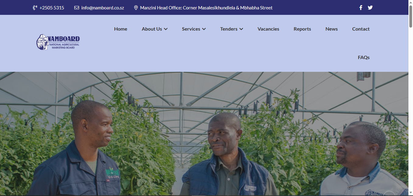 Website Project